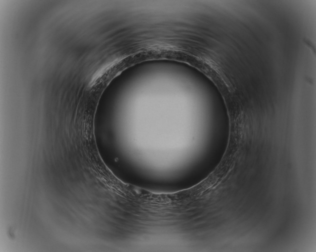 X0000103480919200809121646