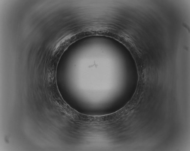 X0000103480920200809121646