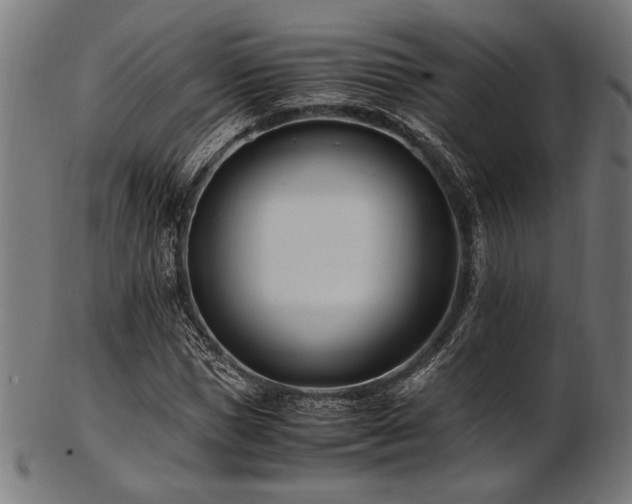 X0000103480921200809121646
