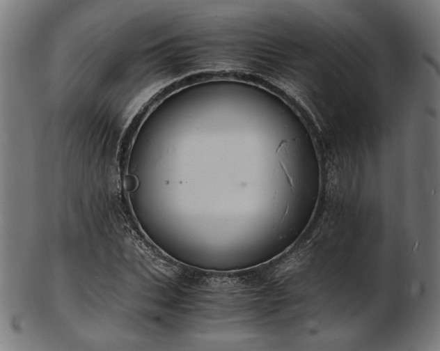 X0000103480927200809121647