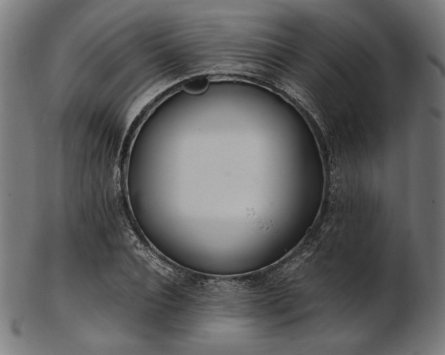 X0000103480928200809121647