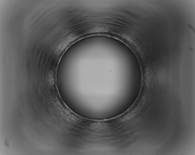 X0000103480929200809121647