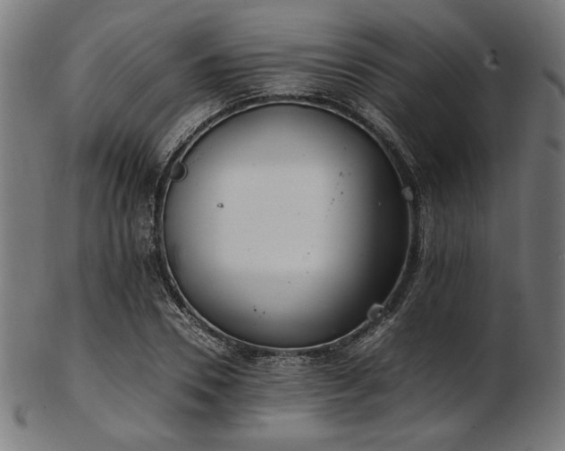 X0000103480930200809121647