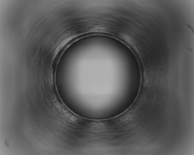 X0000103480931200809121647
