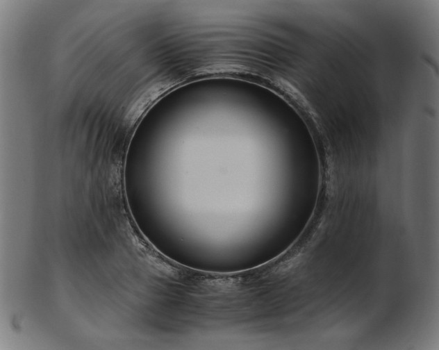 X0000103480937200809121647