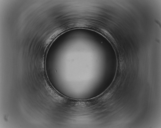 X0000103480938200809121647