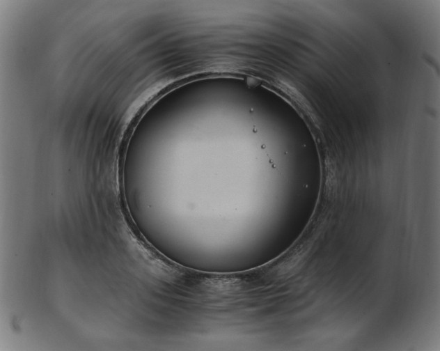 X0000103480939200809121647