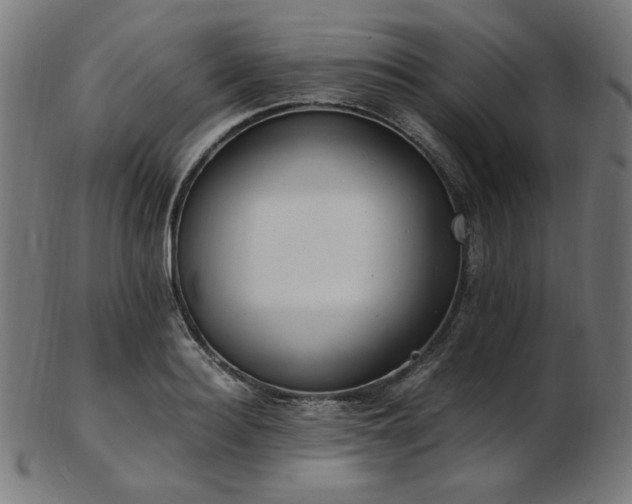 X0000103480940200809121647