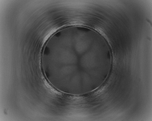 X0000103480941200809121647