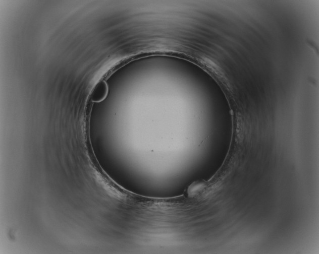 X0000103480942200809121647