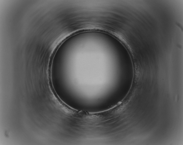 X0000103480943200809121647