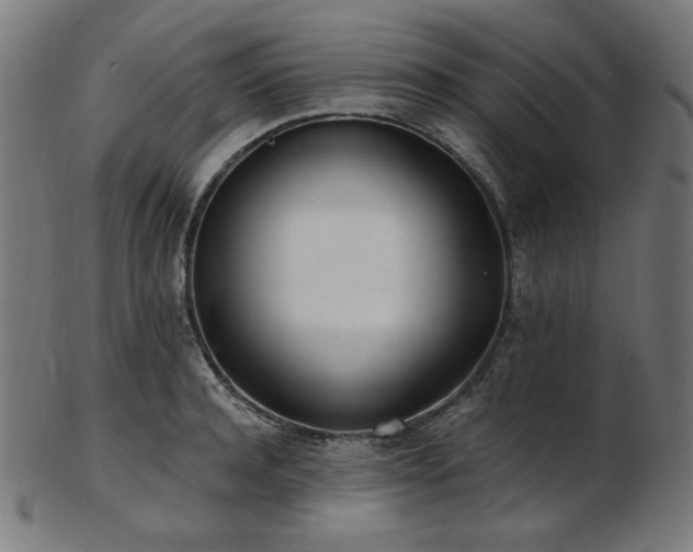 X0000103480944200809121647
