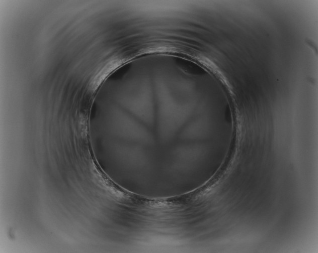 X0000103480945200809121647