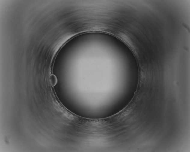 X0000103480948200809121647
