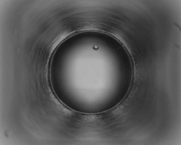 X0000103480949200809121647