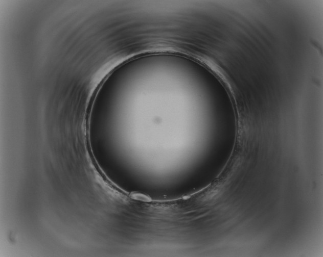 X0000103480951200809121647