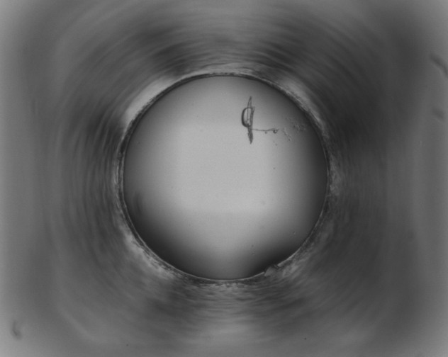 X0000103480952200809121647