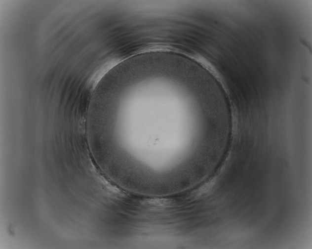 X0000103480953200809121647