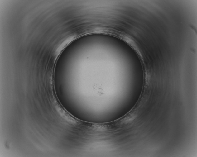 X0000103480954200809121647