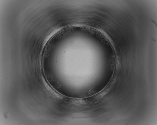 X0000103480957200809121647