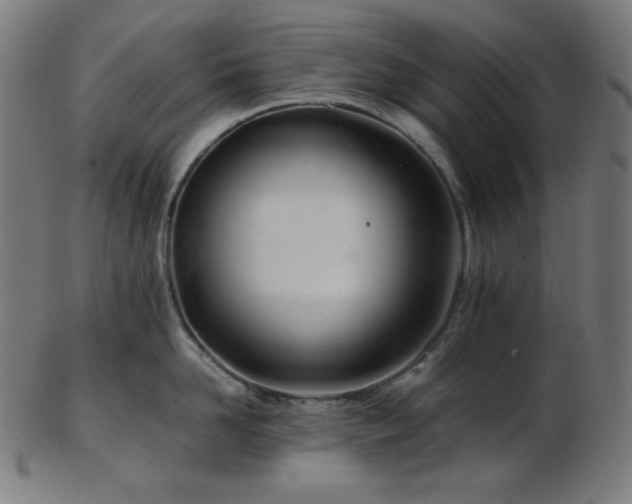 X0000103480958200809121647
