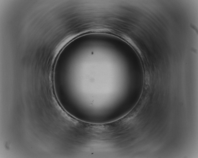 X0000103480959200809121647