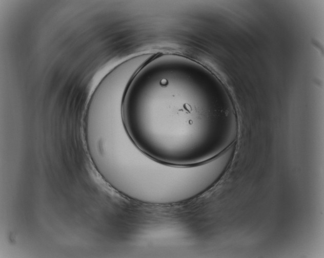 X0000103480960200809121647