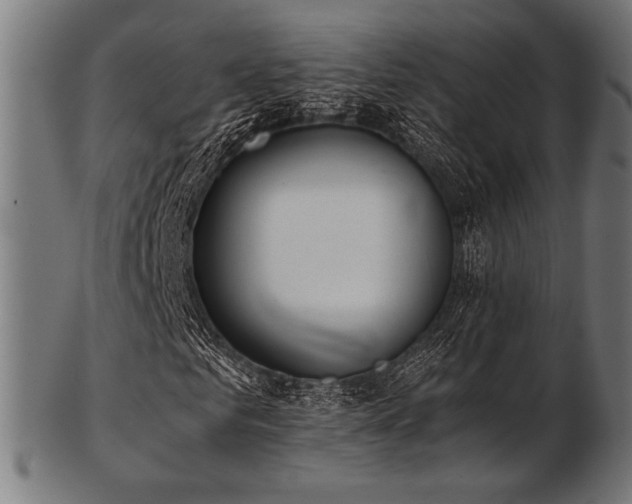 X0000103480961200809121646