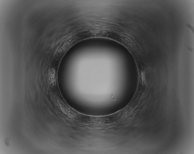 X0000103480963200809121646