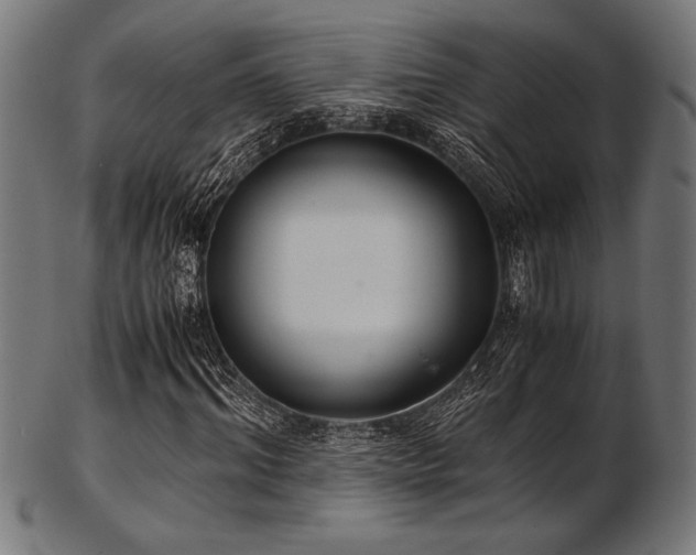X0000103480964200809121646