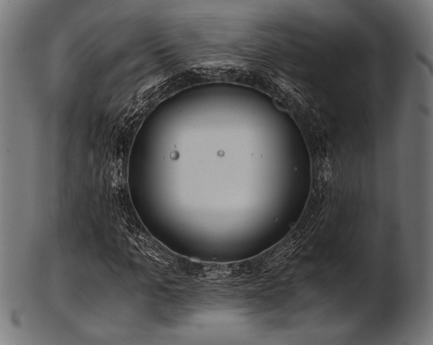 X0000103480965200809121646