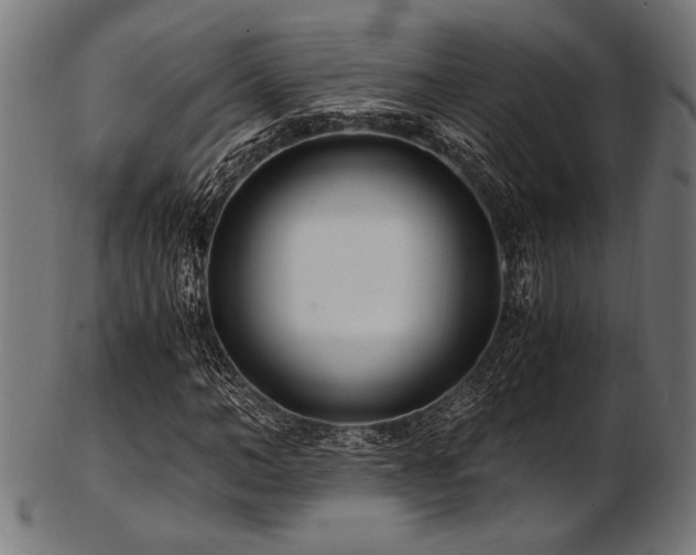 X0000103480966200809121646