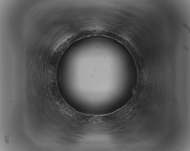 X0000103480967200809121646