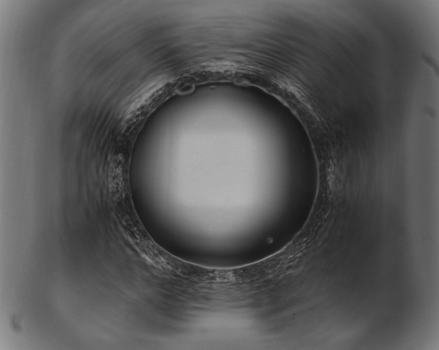 X0000103480968200809121646