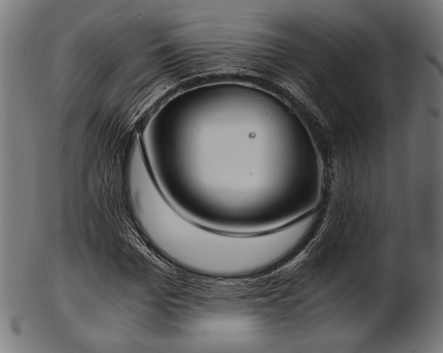 X0000103480969200809121646