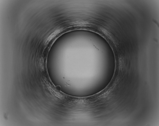 X0000103480970200809121646
