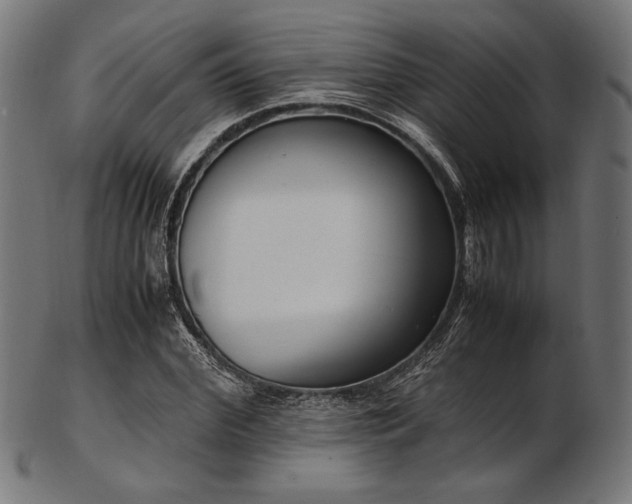 X0000103480972200809121646