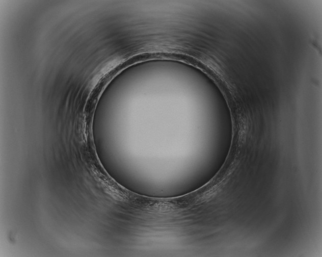 X0000103480974200809121646