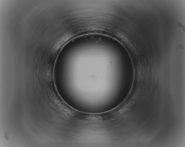 X0000103480977200809121646