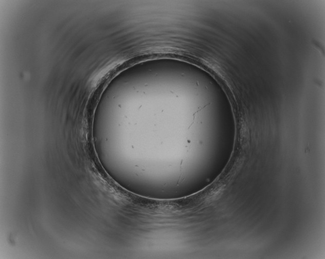X0000103480979200809121646