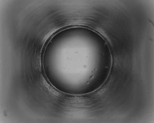 X0000103480980200809121646