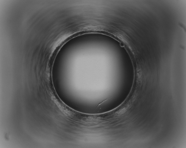 X0000103480981200809121646