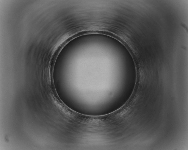 X0000103480982200809121646