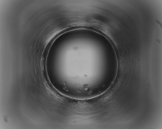 X0000103480983200809121646