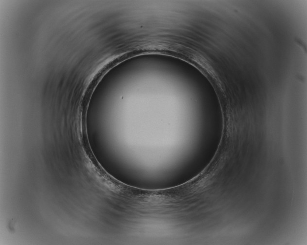 X0000103480984200809121646