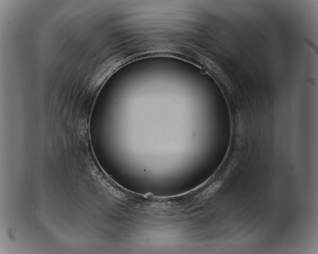 X0000103480985200809121646