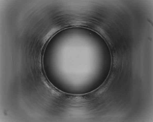 X0000103480986200809121646
