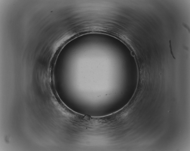 X0000103480987200809121646