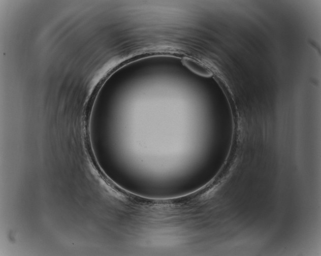 X0000103480989200809121646