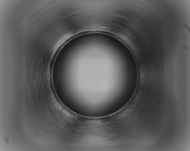 X0000103480990200809121646